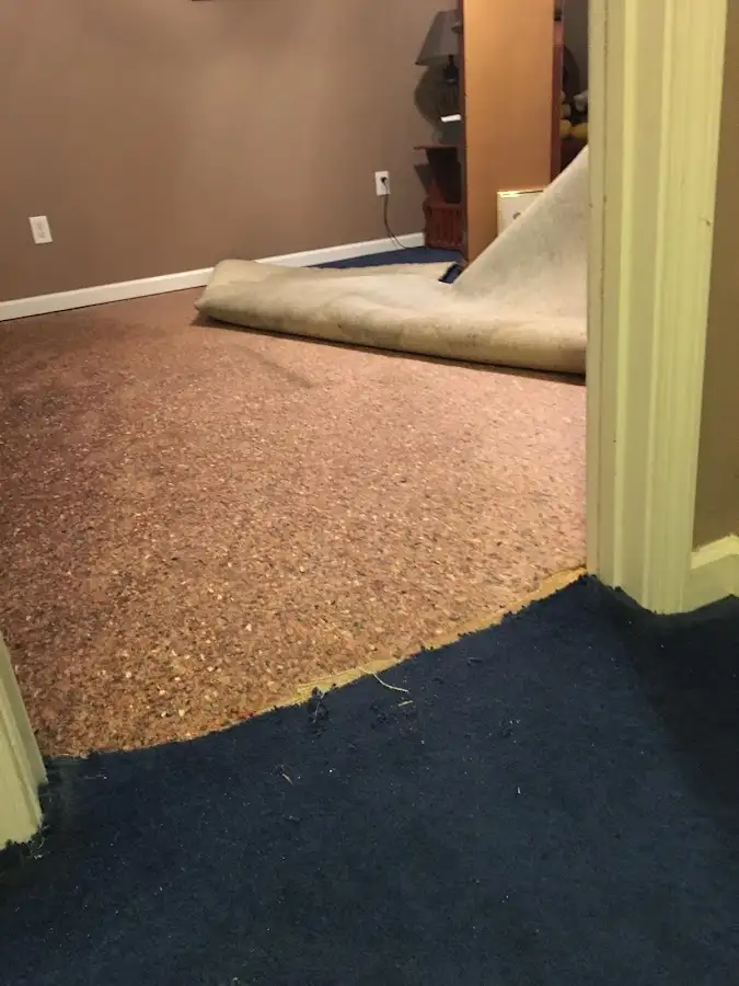 Carpet pad removal revealing water damage during Water Mitigation Services in Philadelphia