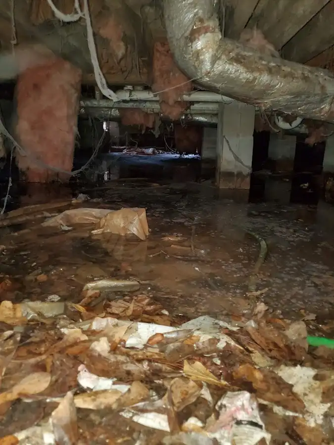 Crawl space flood assessment for Commercial Water Damage Restoration in Philadelphia
